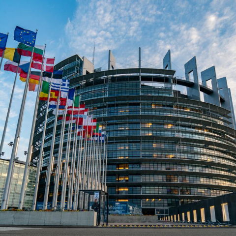 Das Europäische Parlament in Straßburg